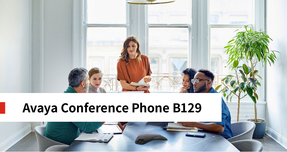 Avaya B129